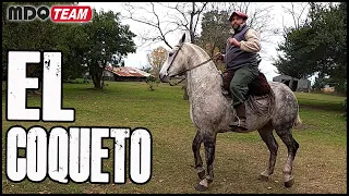 El Coqueto