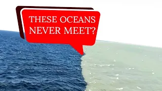 2 টি সাগর একসাথে মেশে না কেন!! Why these oceans never meet?