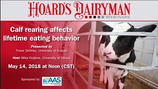 Calf rearing affects lifetime eating behavior