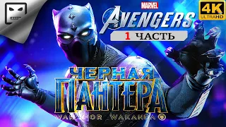 Marvel Черная пантера WAR FOR WAKANDA ЧАСТЬ 1 СТРИМ  ПОЛНОЕ ПРОХОЖДЕНИЕ 4K 60FPS