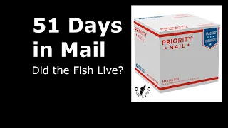 51 Days in the Mail...Can the fish be ALIVE???