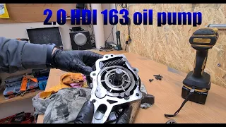 Oil pump analysis of that dead engine. C5 X7 2.0HDI 163 RHH teardown part 4