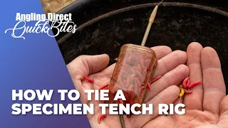 How To Tie A Specimen Tench Rig – Coarse Fishing QuickBite