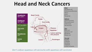 Combining Radiotherapy and Immunotherapy in Cancers of the Skin, Head and Neck