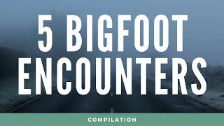 5 Bigfoot Encounters Caught on Camera