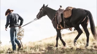 Longmire -  Robert Taylor