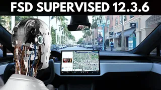 WHAT IF Tesla FSD AI Replaced Uber Drivers?