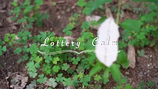 🅻🆄🅲🅺 Number • Lottery Winner’s Daily Lucky Affirmation Meditation • Relaxing Music Piano