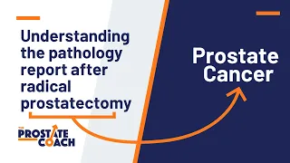 Understanding the pathology report after radical prostatectomy