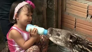 Ayumi aventureira: conheça a garotinha que vive rodeada de animais selvagens