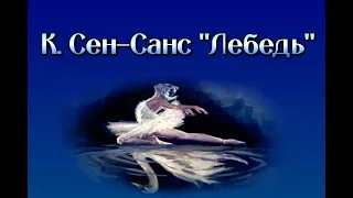 К. Сен-Санс «Лебедь» в исполнении выдающихся русских балерин 20-21 веков