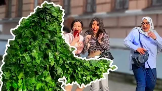 Bushman Prank #8 Crazy Reactions Funniest Moments Scare Cam Смешные испуги 2021 Пранк Юмор