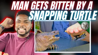 🇬🇧BRIT Reacts To A MAN GETS BITTEN BY A SNAPPING TURTLE!