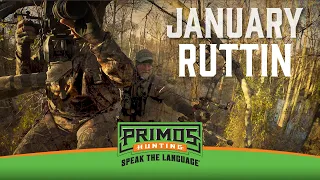 January Ruttin' - Will Kills An Awesome Old Buck With His Bow-Primos Truth About Hunting Season 19