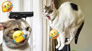 YOU LAUGH YOU LOSE😽Best Funny Animals Video 2024😸🐶