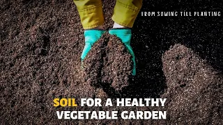 Soil Mix for Growing Vegetables: From Sowing Seeds to Planting Outdoors