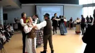 Vengerka -  gypsy, hungarian or european?