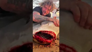 Bikie Boss catches Shark