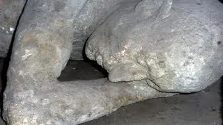 Pompeii Body Casts - Tragic Citizens Caught in the Last Moments of Life