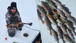 PILKILLÄ | KAUDEN PARAS REISSU! ENNÄTYS AHVEN JA JACKPOT | ORKA SMALL FISH & ORKA HYBRID SHAD