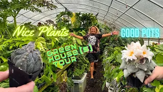 Behind the Scenes of Online Sellers of Ultra Rare Plants