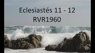 La Biblia en un año/Eclesiastés 11 - 12 (Audio, Letra) Día 277