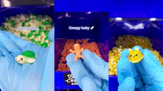 Rating Charms In Our Slime Shop 🐢