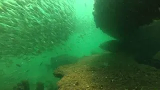 Diving USS Massachusetts, pensacola fl