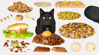 1 HOUR Cat Eating ASMR Compilation