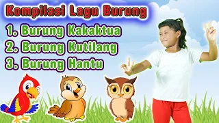 Kompilasi lagu burung 🐦 kartun lucu ada kakak tua kutilang burung hantu 😆 Olivia Susanto #laguanak