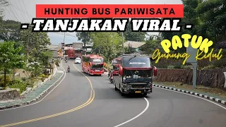 TANJAKAN VIRAL PATUK‼️Hunting Bus Pariwisata Di Gerbang MASUK Gunung Kidul🔥