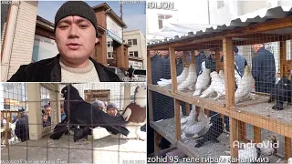 Andijon soy kabutar bozor 1.qism pigeons 2-mart, 2023