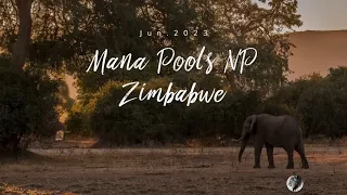 Safari Mana Pools NP Jun.2023