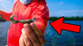 This is The EASIEST Way to Catch a TON of Saltwater Fish