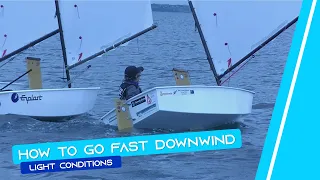 OPTIMIST SAILING - How To Go Fast Downwind | [Light Conditions]