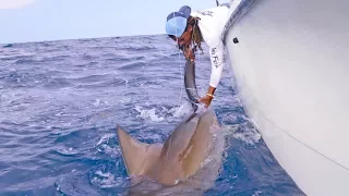 Fishing for Big Sharks with Pro Soccer Player Sébastien Thurière - 4K