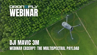 Webinar Excerpt | DJI Mavic 3M Multispectral - The Multispectral Payload | Dronefly