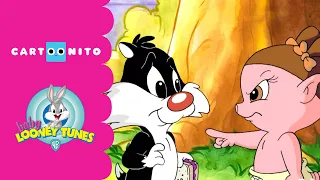Baby Looney Tunes | Who's Larry? | Cartoonito