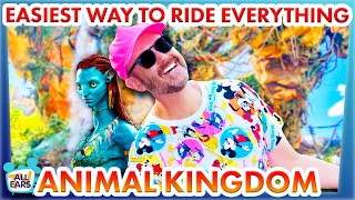 The EASIEST Way To Ride Everything in Disney World -- Animal Kingdom