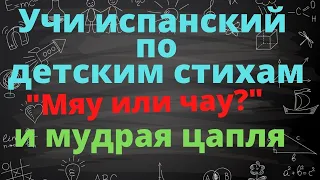 Учить испанский язык по детским стихам. Мария Елена Уолш, лимерики про кота с луны и мудрую цаплю.