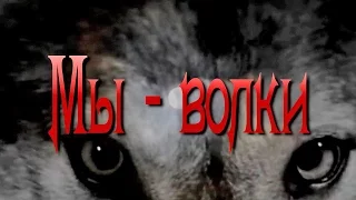 Вячеслав МЕДЯНИК. Мы -  волки / N-stудия