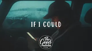 Brynn Cartelli - If I Could (Lyrics / Lyric Video)