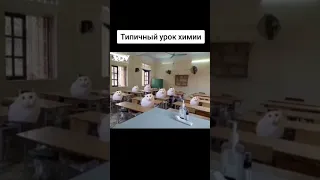 типичный урок химии #мем