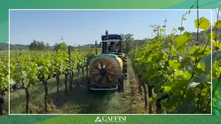 Vineyard sprayer: which one to choose? | Caffini