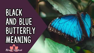 Black and Blue Butterfly Meaning