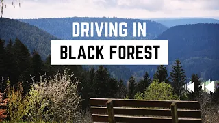 Driving through Black Forest| Germany| 3 Days Itineray