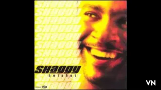 Shaggy - Hey Love.
