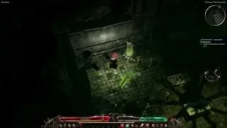 Grim Dawn PlaguemancerB27