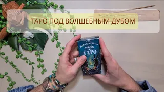 НОВИНКА! ТАРО ПОД ВОЛШЕБНЫМ ДУБОМ