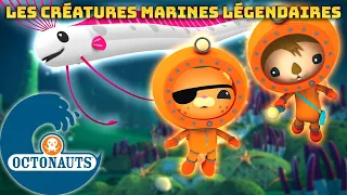 Octonauts - ✨ Les créatures marines légendaires 🐋 | Compilation | Dessins animés pour enfants